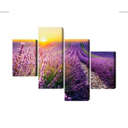 Mehrteiliges Bild Lavendelfeld Bei Sonnenuntergang 3D