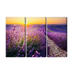 Mehrteiliges Bild Lavendelfeld Bei Sonnenuntergang 3D
