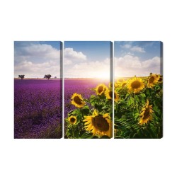Mehrteiliges Bild Lavendel- Und Sonnenblumenfelder 3D