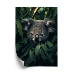 Poster Koala Sitzt In Den Blättern
