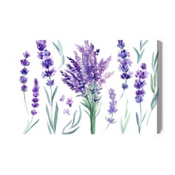Leinwandbild Blühender Lavendel Gemalt Mit Aquarell