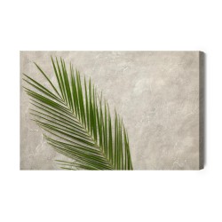Leinwandbild Palmblatt Auf Einem Konkreten Hintergrund