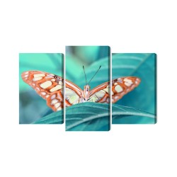 Mehrteiliges Bild Ein Schmetterling Auf Einem Blatt Im Makromaßstab