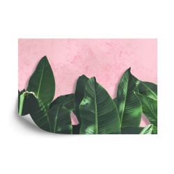 Fototapete Tropische Pflanzen Auf Rosa Hintergrund