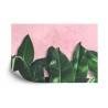 Fototapete Tropische Pflanzen Auf Rosa Hintergrund