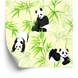 Tapete Pandas Und Pflanzen