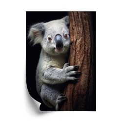 Poster Koalabär Umarmt Einen Baum