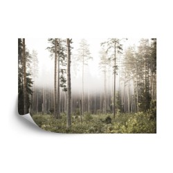 Fototapete Wald Im Nebel