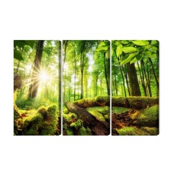 Mehrteiliges Bild Sonnenstrahlen Im 3D-Wald