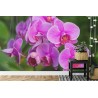 Fototapete Orchideenblüten 3D