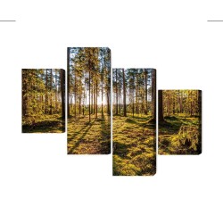 Mehrteiliges Bild 3D Sonnige Waldlandschaft