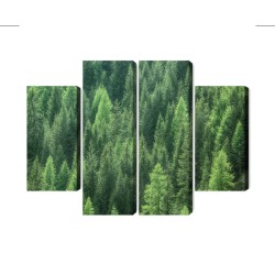Mehrteiliges Bild 3D-Ansicht Des Grünen Waldes