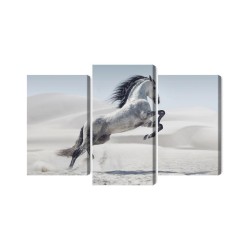 Mehrteiliges Bild Pferd In Der Wüste 3D