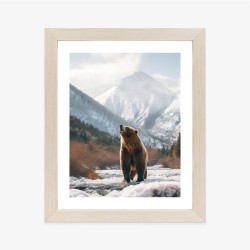Poster Grizzlybär Vor Einer Schneebedeckten Bergkette