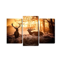 Mehrteiliges Bild Zwei Hirsche Im Wald Bei Sonnenuntergang 3D