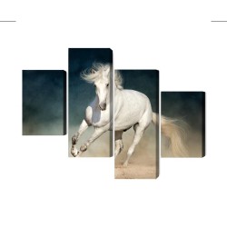 Mehrteiliges Bild Ein Weißes Pferd Im Galopp