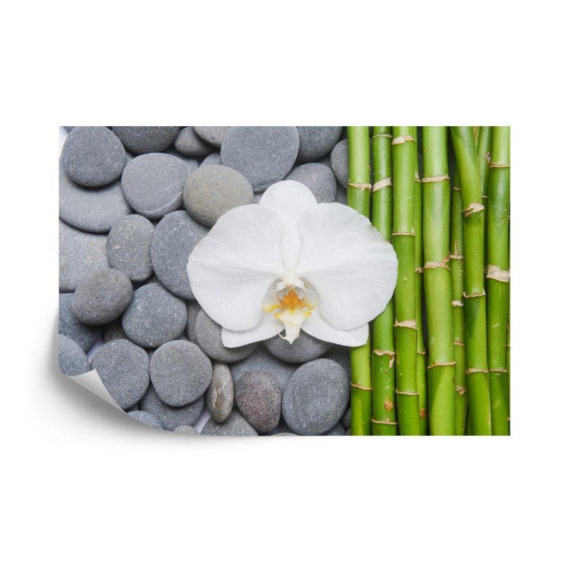 Fototapete Bambus Mit Steinen Und Orchideen