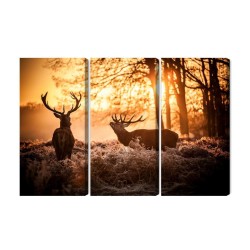 Mehrteiliges Bild Zwei Hirsche Im Wald Bei Sonnenuntergang 3D